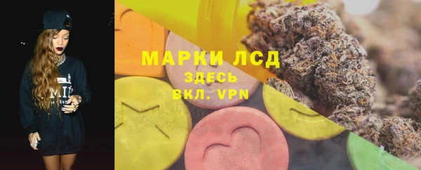 сатива Богородск