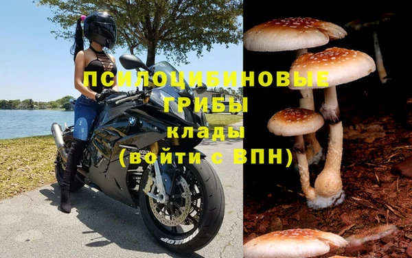 метамфетамин Белокуриха